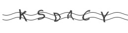 raptcha.png