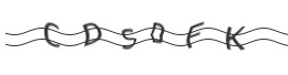 raptcha.png