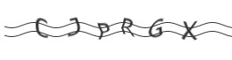 raptcha.png